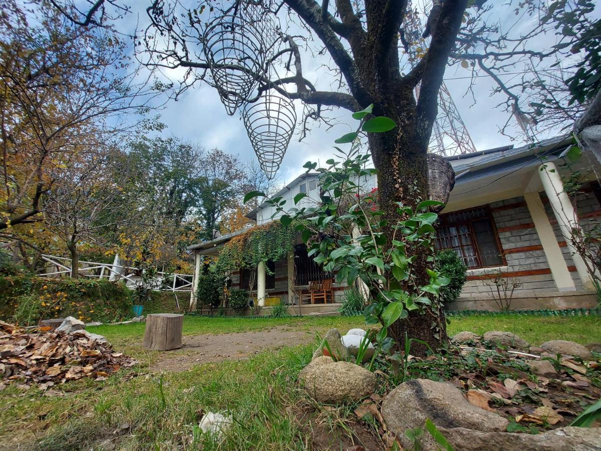 Mars Monkey Hostel & Cafe Manāli Εξωτερικό φωτογραφία