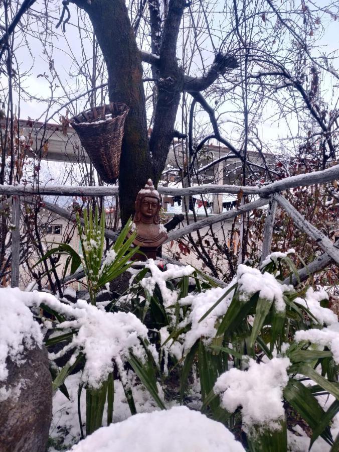 Mars Monkey Hostel & Cafe Manāli Εξωτερικό φωτογραφία