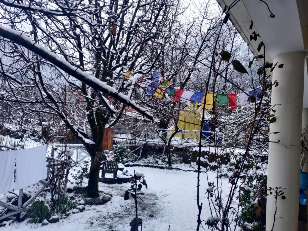 Mars Monkey Hostel & Cafe Manāli Εξωτερικό φωτογραφία