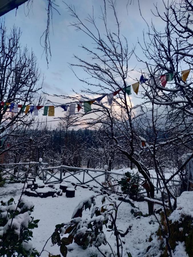 Mars Monkey Hostel & Cafe Manāli Εξωτερικό φωτογραφία