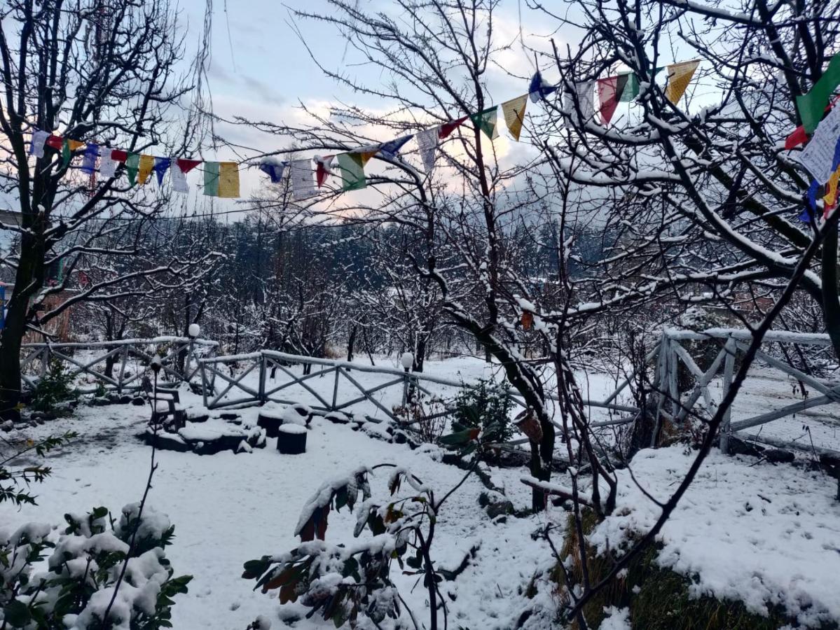 Mars Monkey Hostel & Cafe Manāli Εξωτερικό φωτογραφία