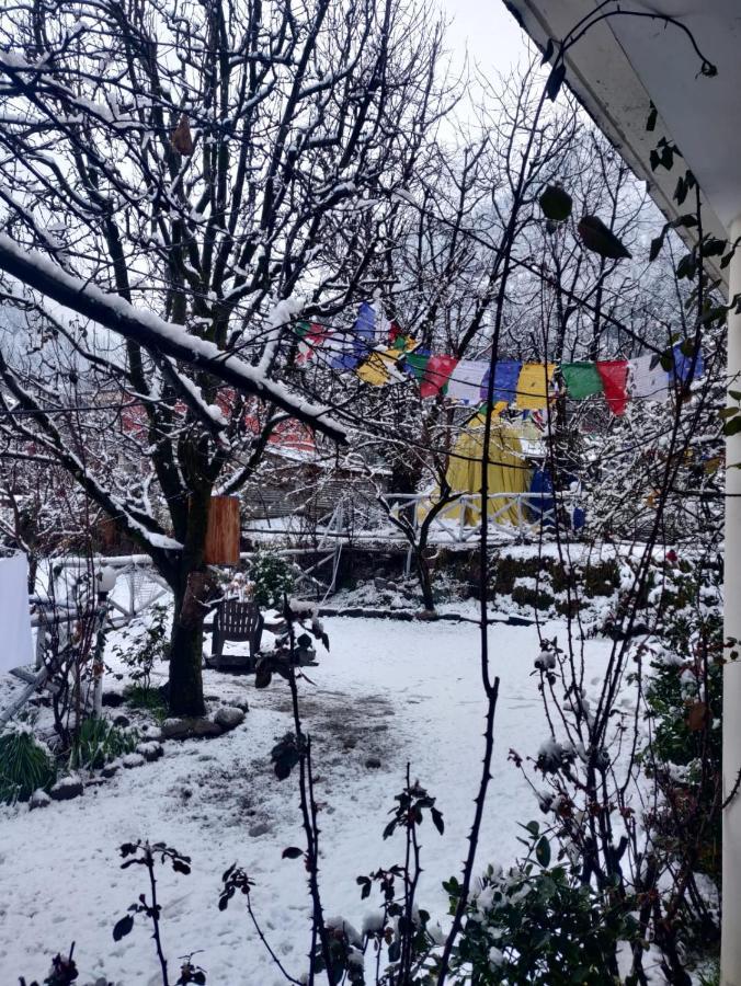 Mars Monkey Hostel & Cafe Manāli Εξωτερικό φωτογραφία